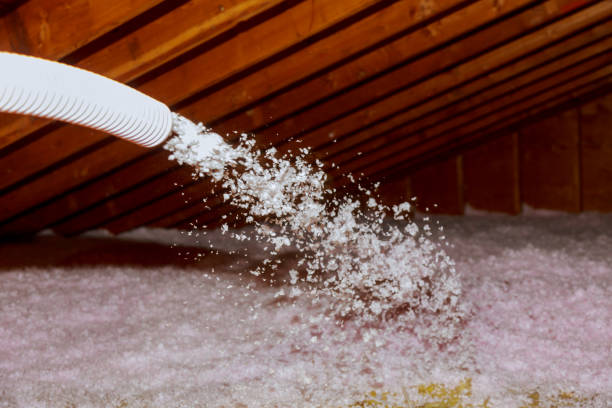 Best Attic Insulation Near Me  in Sebewaing, MI