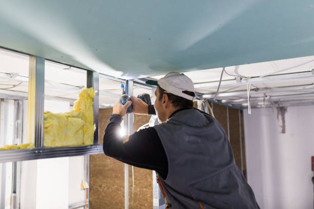 Best Insulation Inspection Services  in Sebewaing, MI