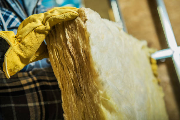 Best Best Insulation Companies  in Sebewaing, MI