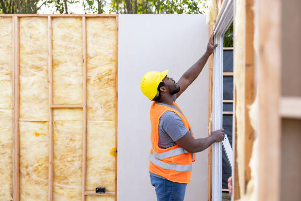 Best Insulation Replacement Services  in Sebewaing, MI