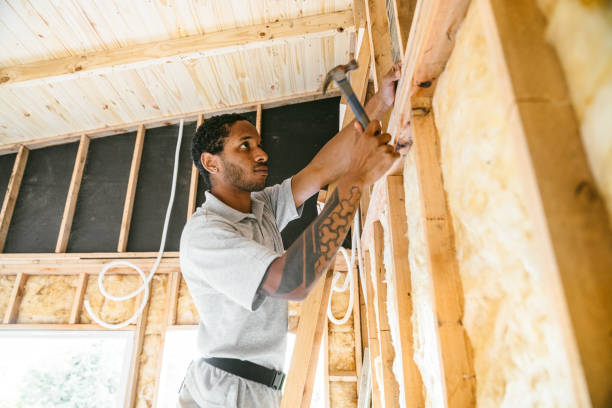 Best Insulation Repair Services  in Sebewaing, MI
