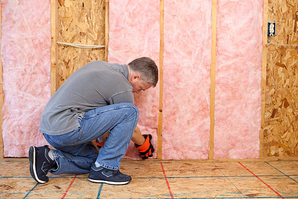 Best Cellulose Insulation  in Sebewaing, MI