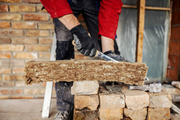 Best Local Insulation Services  in Sebewaing, MI
