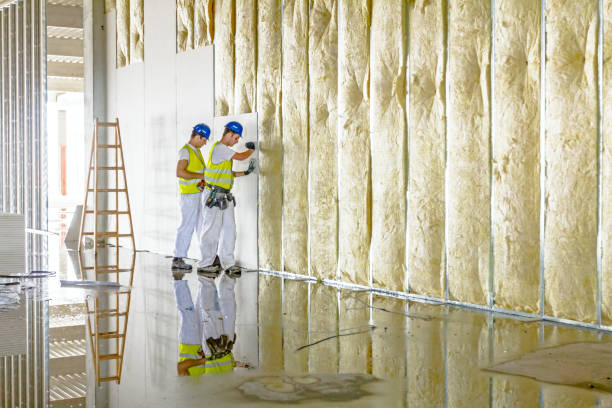 Best Attic Insulation Installation  in Sebewaing, MI
